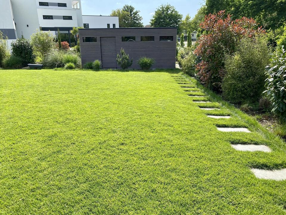 Moderne Stadtvilla mit Pool in Waldrandlage – Bild 6