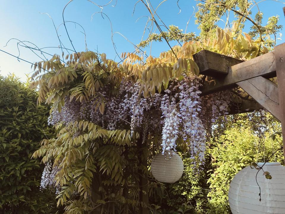Provisionsfreies Reihenmittelhaus mit schönem eingewachsenem Garten – Bild 13