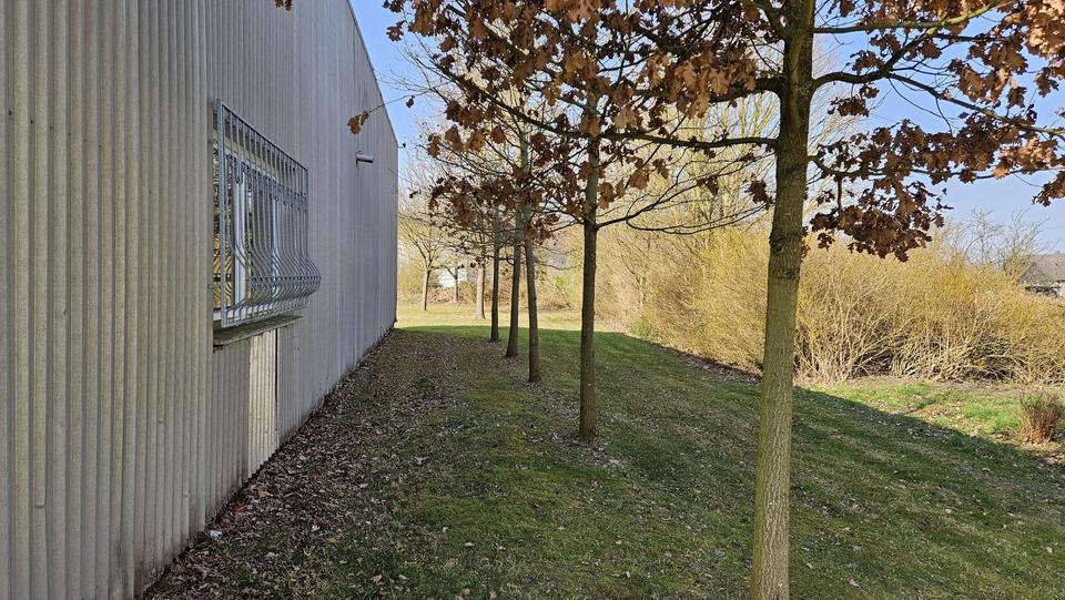 Firmenhalle / Industriehalle mit Bürotrakt – Bild 21