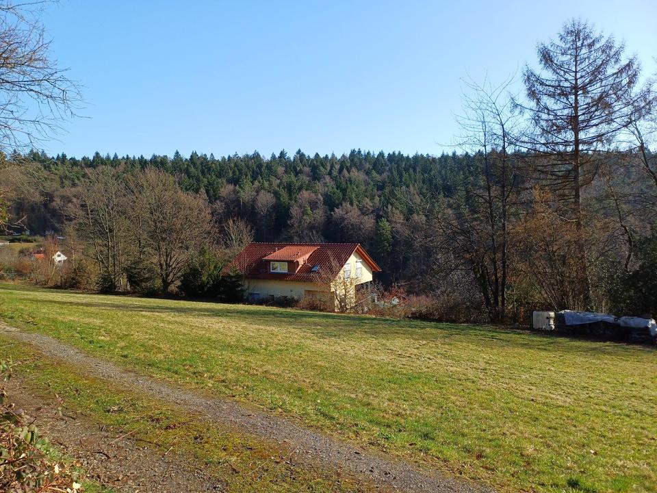 Projektiertes Baugrundstück in bester Lage von Wilhelmsfeld – Bild 6