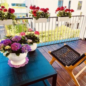 Elegante 3-Zimmer-Wohnung im 2. OG mit Balkon in Scharnhauser Park