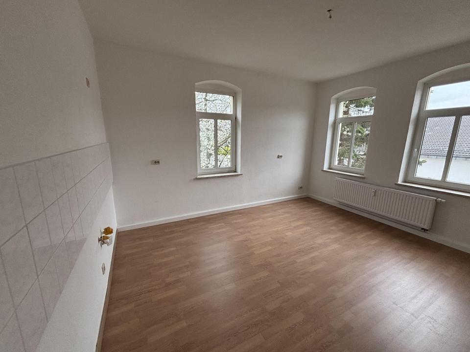 Cash-Cow bei Dresden – Bild 12