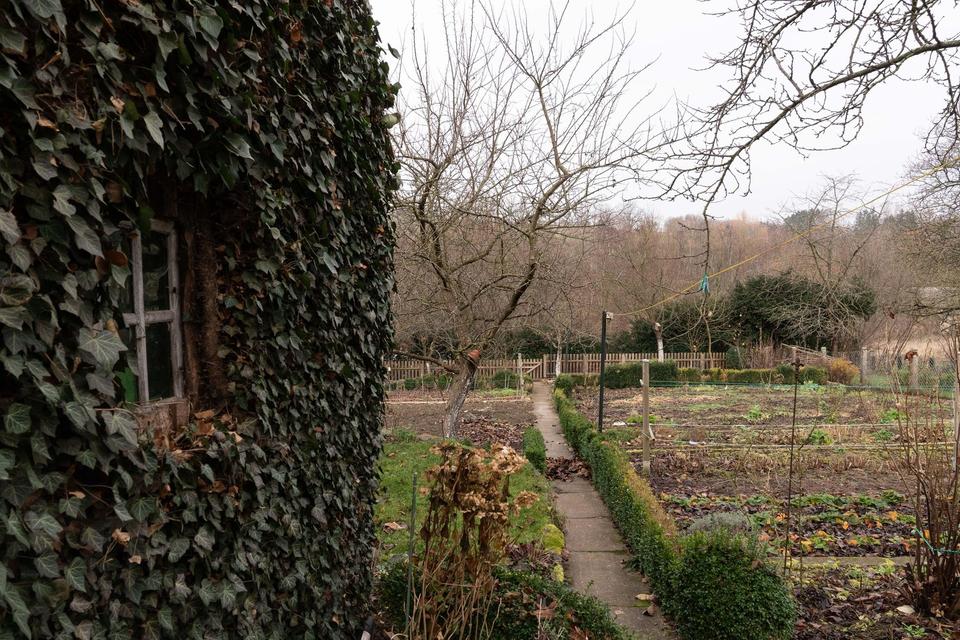 Charmantes Landhaus mit großem Garten – Ruhe &Natur nahe Hannover – Bild 7
