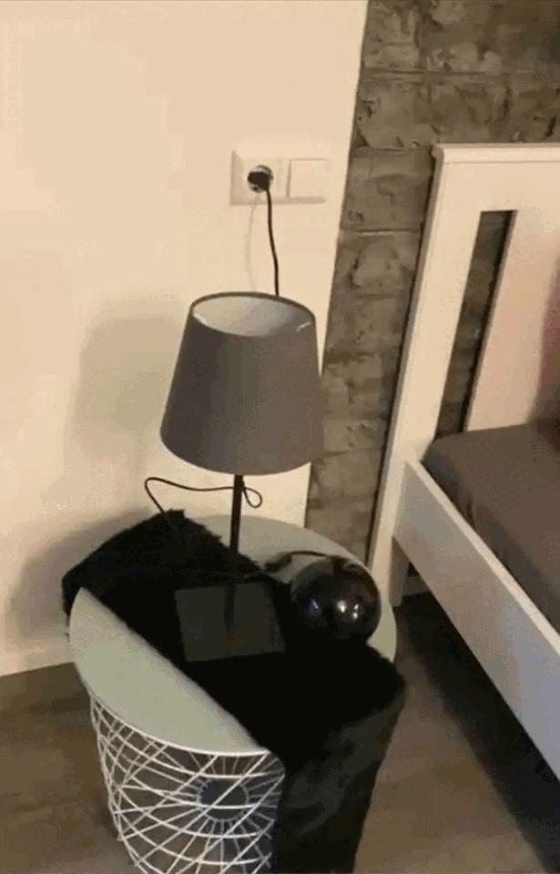 Moderne 1,5-Zimmer-Wohnung (47 m²) – kernsaniert, Stellplatz, ruhige Lage bei Sigmaringen – Bild 6