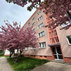 Renovierte und helle 1-Zimmer-Wohnung mit Duschbad