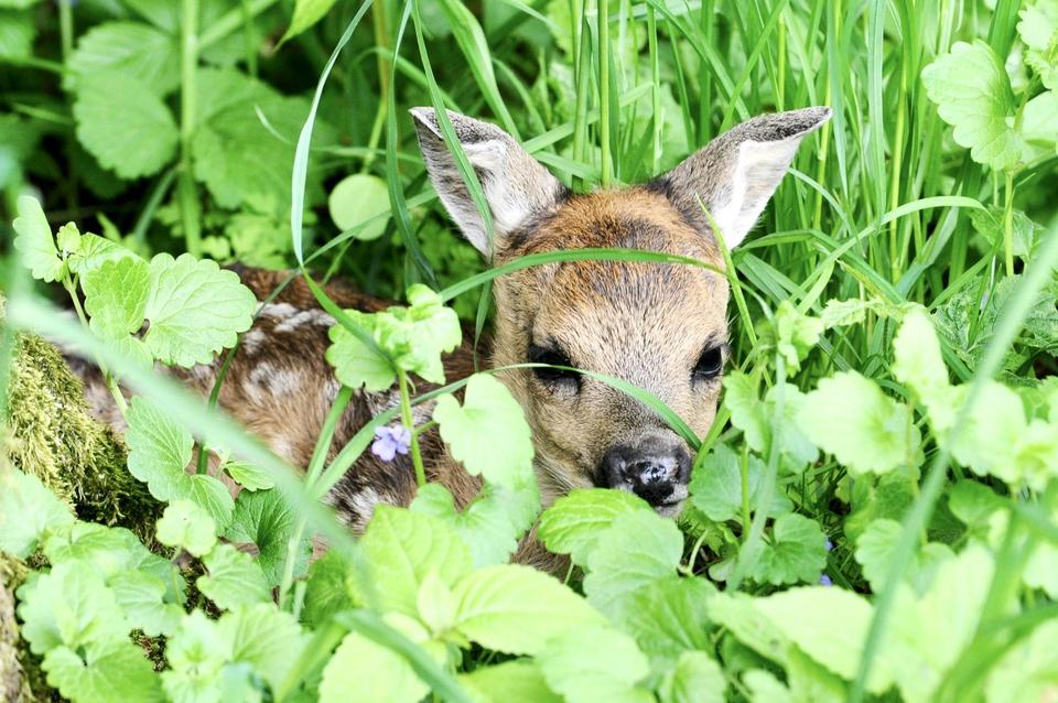 Großzügiges Ein- bis Zweifamilienhaus mt 8.197 qm Grund, PV-Anlage, Wald und Panoramablick – Bild 5