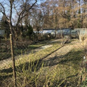 Investitionsobjekt ca. 4300 qm Grundstück in Bestensee