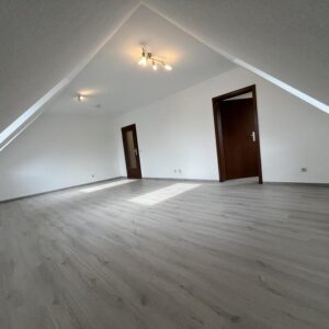 Moderne 1-Raum-Wohnung-frisch saniert