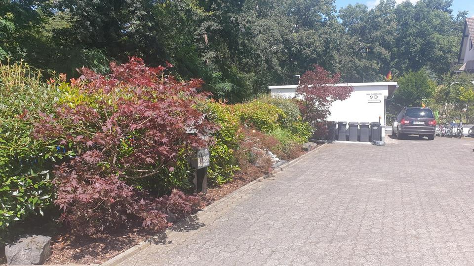 Heusenstamm Traumimmobilie in ruhiger Waldlage als Gewerbe- und Wohnimmobilien – Bild 3