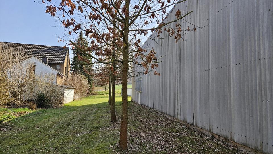 Firmenhalle / Industriehalle mit Bürotrakt – Bild 22