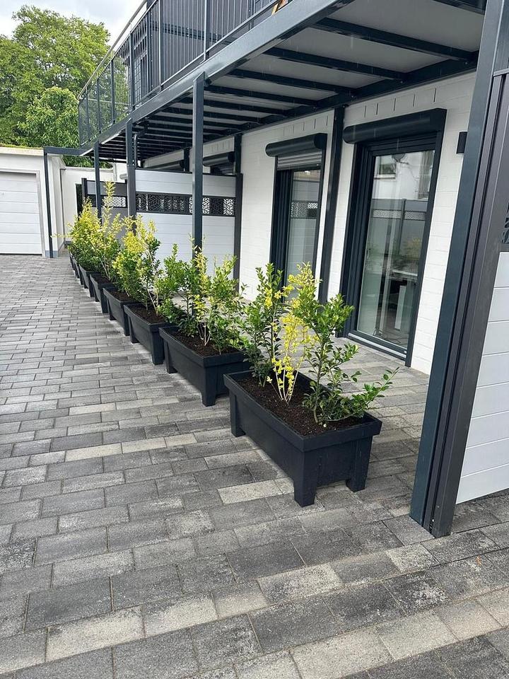 Neuwertige, großzügige 2 Zi. EG-Wohnung im Zentrum – Bild 2