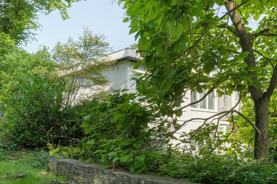 Leben und Arbeiten in schöner Lage – Bild 36