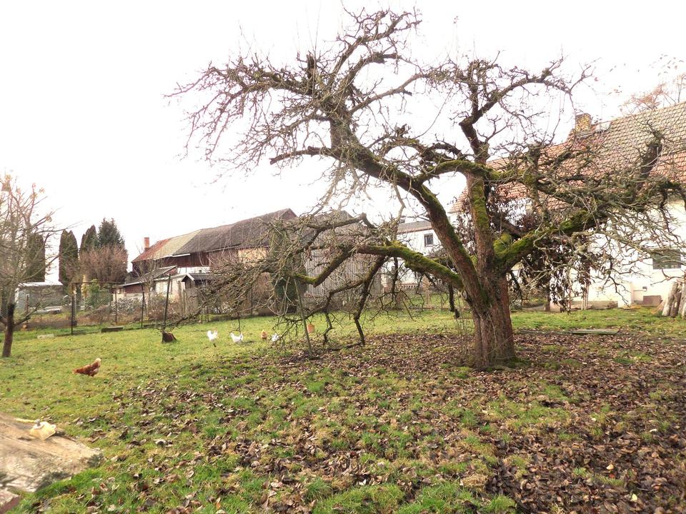 Ein Haus mit Platz, Hof und Möglichkeiten – kein Standard, sondern ein echtes Stück Leben – Bild 28