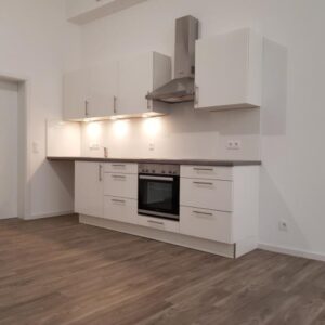 Sofort frei! Kernsanierte moderne 1-Zimmer-Loftwohnung ruhige Altstadtlage ohne Stellplatz