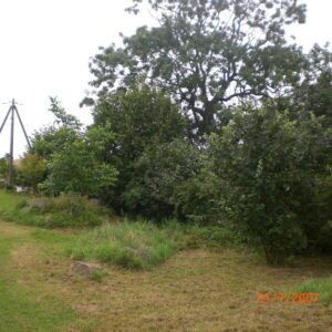 Grundstück bestehend aus 2 Flurstücken - (Preis reduziert!)