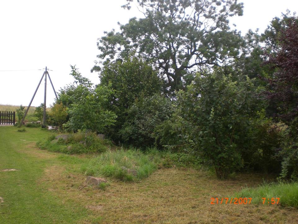 Grundstück bestehend aus 2 Flurstücken - (Preis reduziert!)