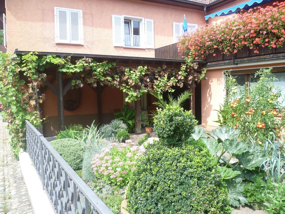 Möblierte Wohnung auf Zeit in der Altstadt von Staufen – Bild 10