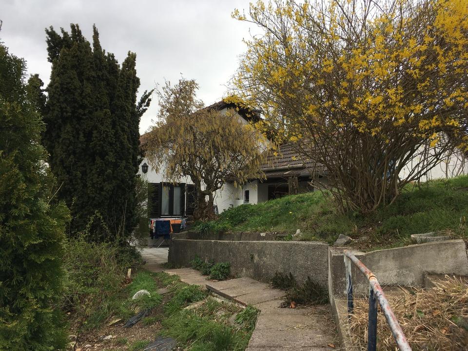 Grundstück mit traumhafter Bergsicht bebaut mit stilechtem 50 ziger Jahre Haus, Privat ohne Makler – Bild 7