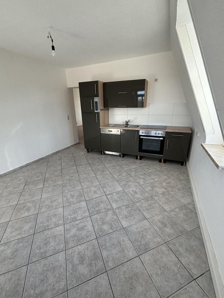 Cash-Cow bei Dresden – Bild 10