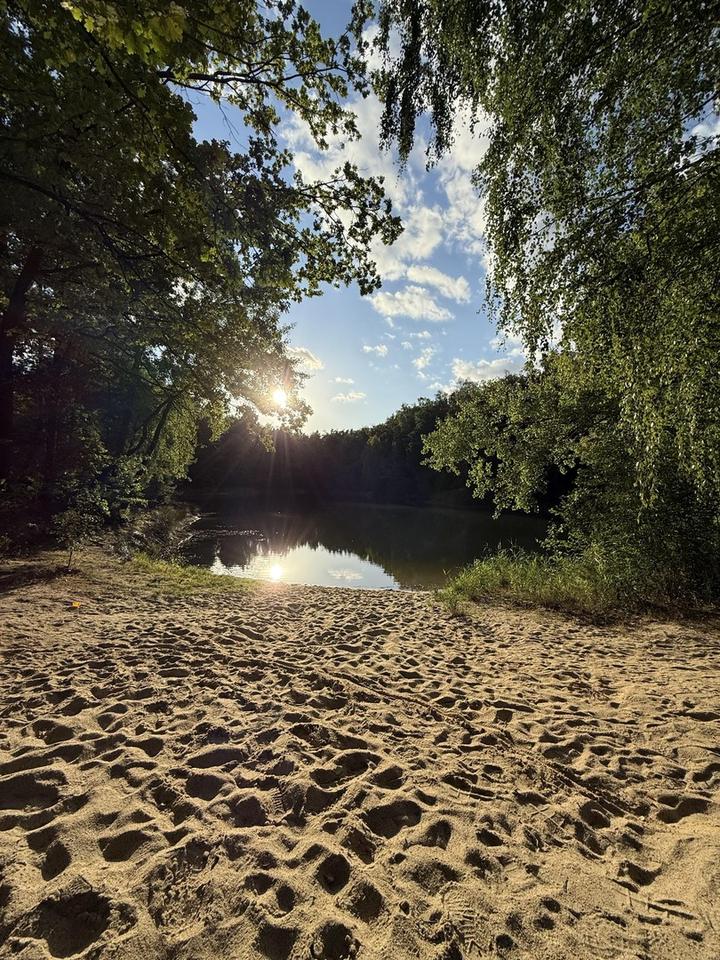 Waldidylle mit Veranda, Badezuber & Glasfaser - sofort nutzbar – Bild 38