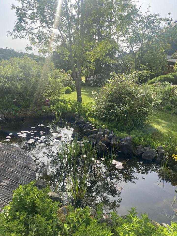 Top gepflegtes, freistehendes Ein- bis Zweifamilienhaus – Bild 30