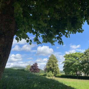 73 m² - Effizienzhaus - Erstbezug - Balkon - Aufzug - Sauna - Luftkurort - Rothaargebirge