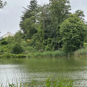 Toplage am Cappenberger See