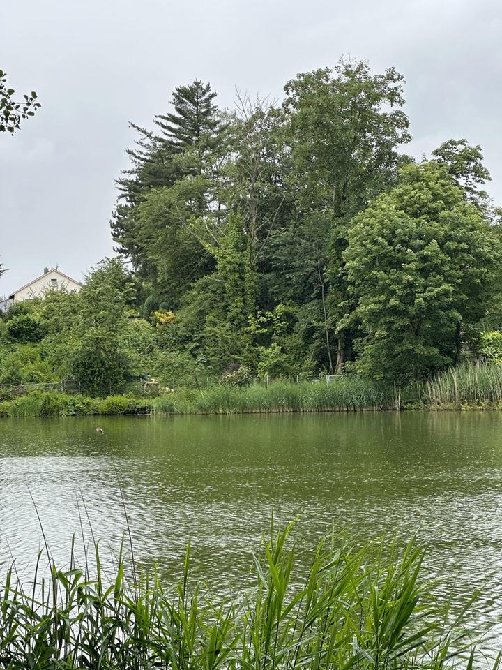 Toplage am Cappenberger See