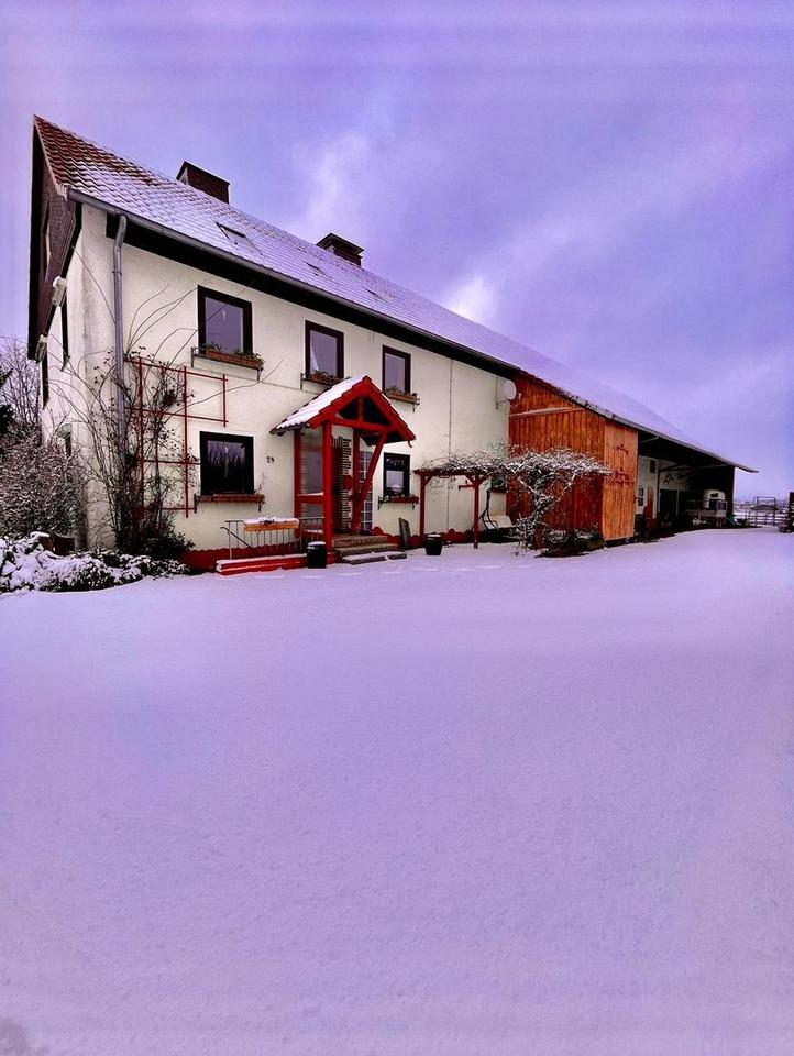 Liebevoller Hof mit Weideland nahe Kassel auf 27000qm – Bild 2