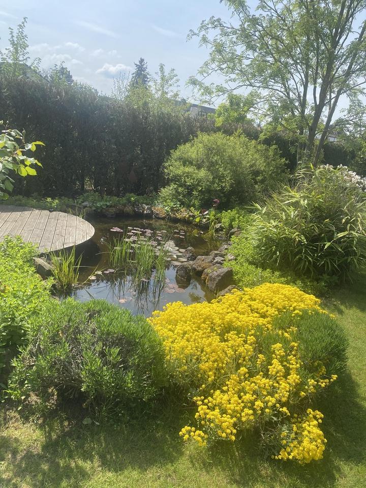 Top gepflegtes, freistehendes Ein- bis Zweifamilienhaus – Bild 33