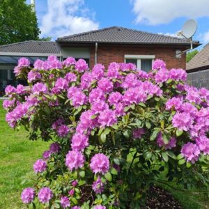 Provisionsfreier Bungalow an der Nordseeküste: Barrierefrei, Kernsaniert & Voll Möbliert