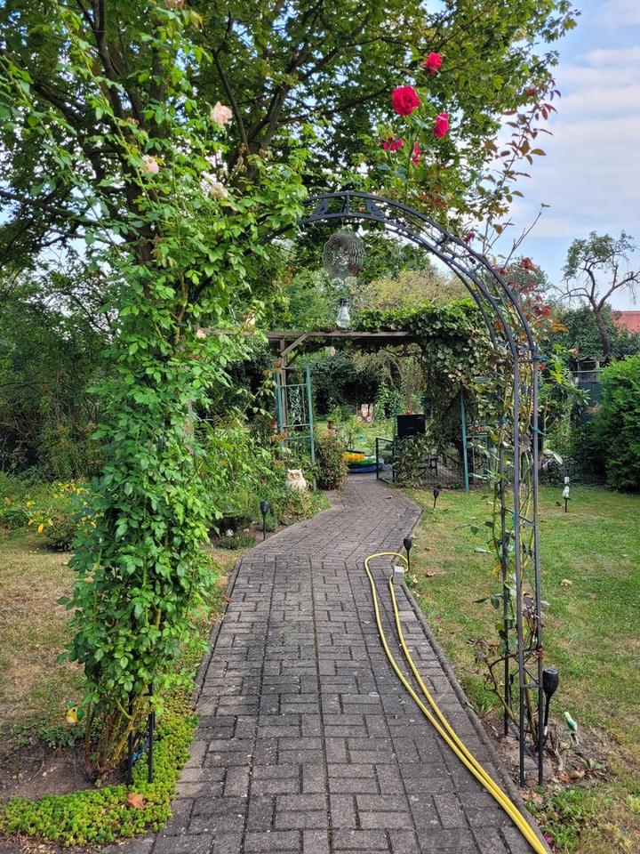 Barrierefrei wohnen in Zweifamilienhaus mit Lift, Garten & Autostellplätze – Bild 8