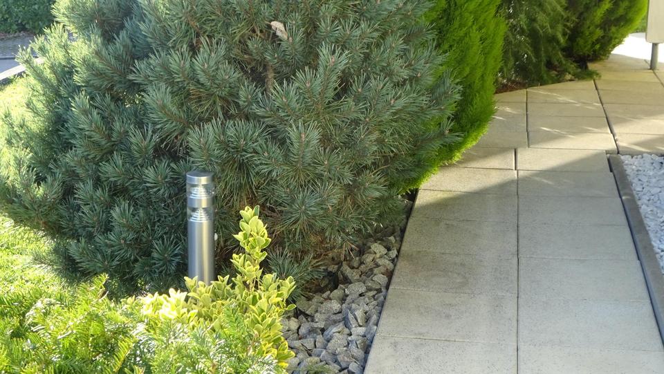 4,5 Zimmer-Haus ruhig Lage, unverbaute Sicht, barrierefrei – Bild 22