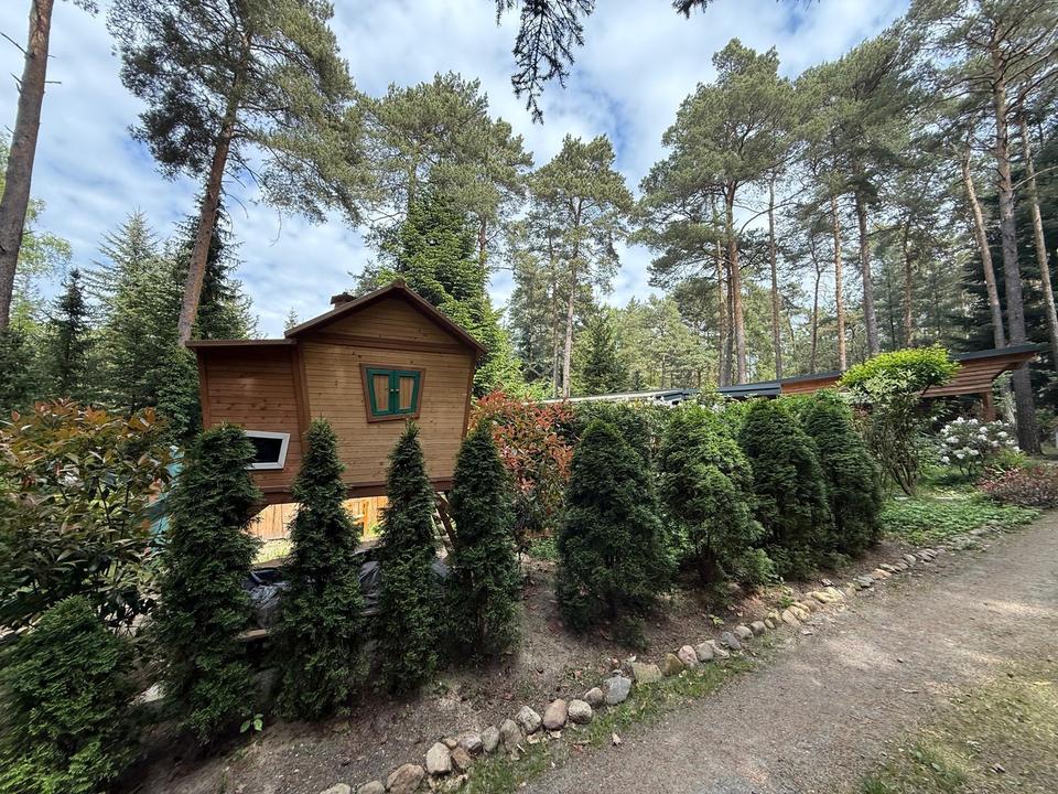 Waldidylle mit Veranda, Badezuber & Glasfaser - sofort nutzbar – Bild 35