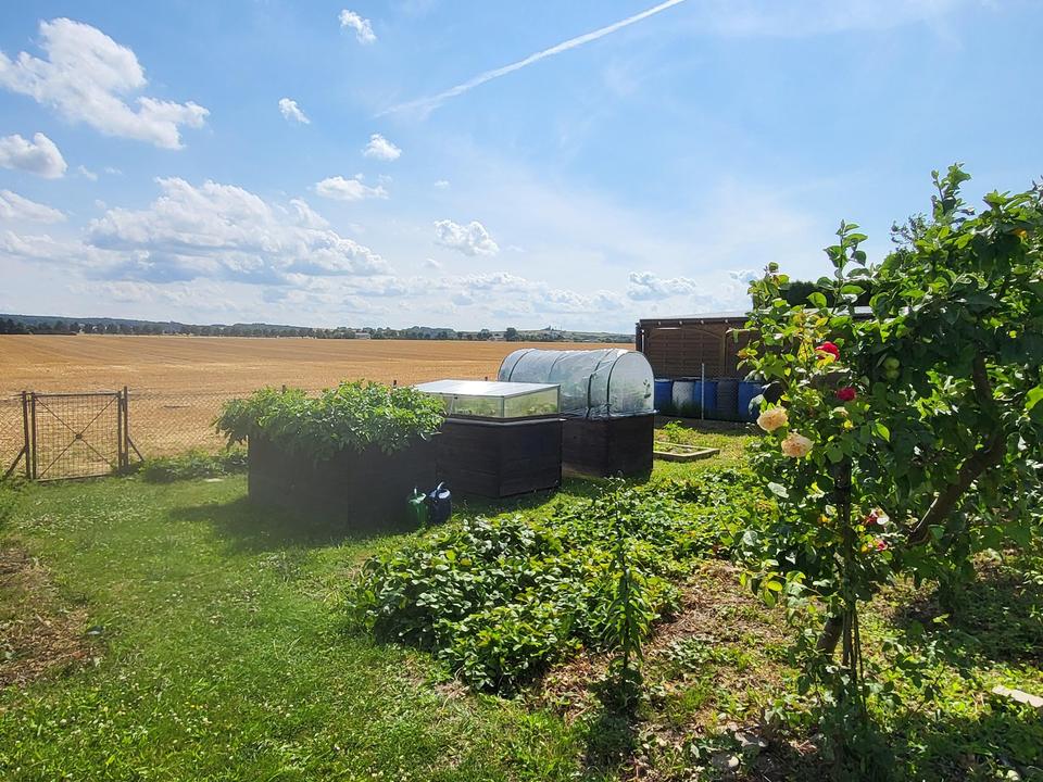 Strandnah & Feldrandlage: Ihr sonniges EFH mit ELW an der Ostsee – Bild 4