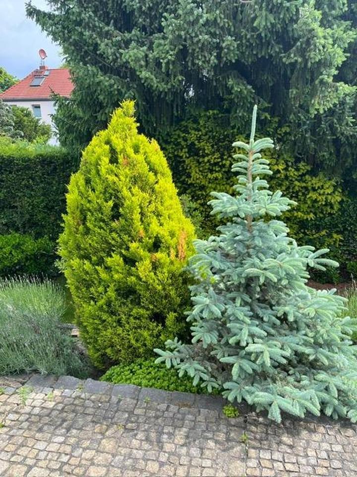 Ihr Traumhaus in Lankwitz wartet auf Sie – Bild 6