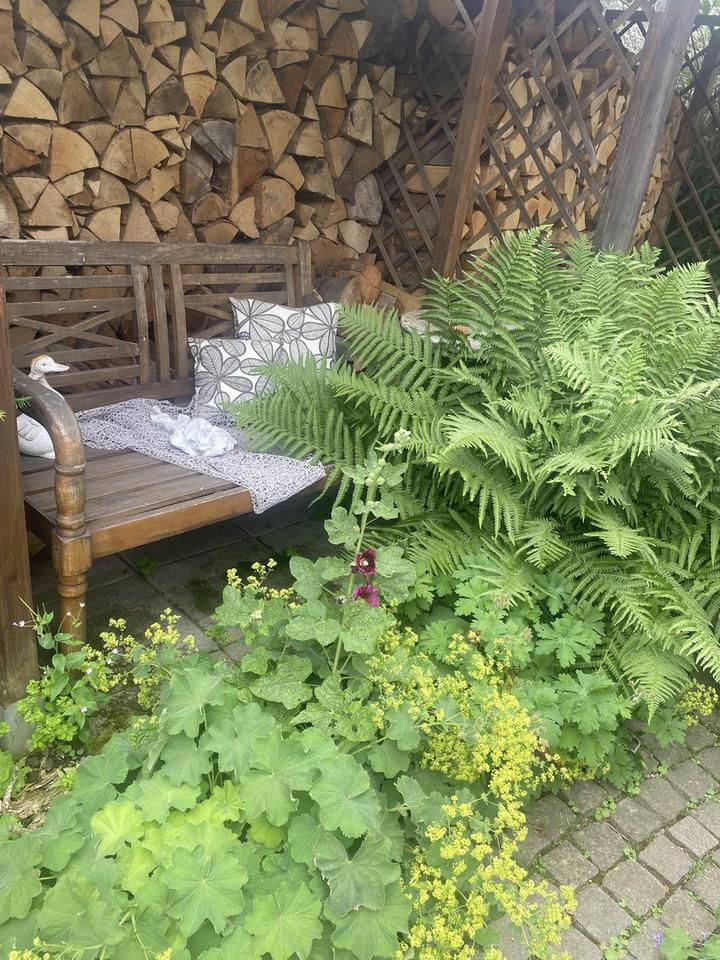 Top gepflegtes, freistehendes Ein- bis Zweifamilienhaus – Bild 28