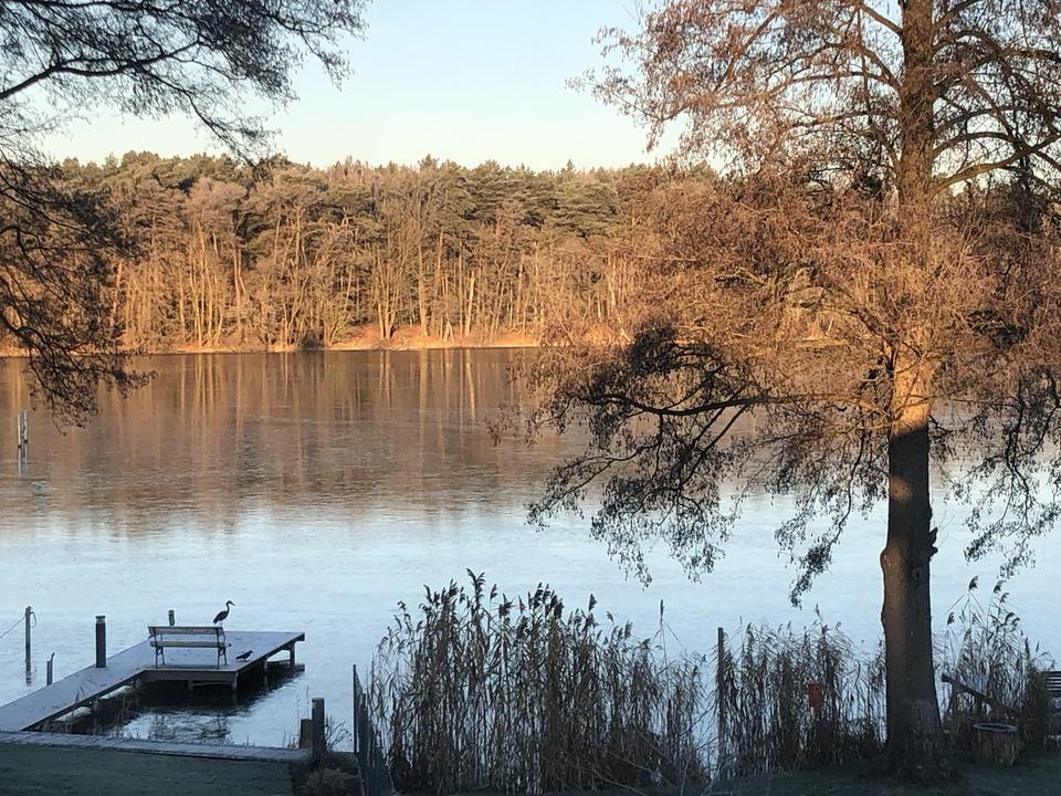 gepflegte Villa mit eig. Seezugang, Steg, Gästehaus, Sauna, Designmobiliar nahe Berlin – Bild 18
