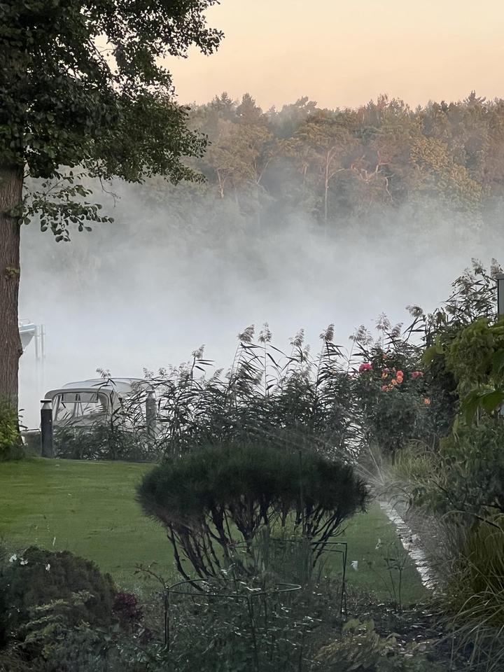 gepflegte Villa mit eig. Seezugang, Steg, Gästehaus, Sauna, Designmobiliar nahe Berlin – Bild 16