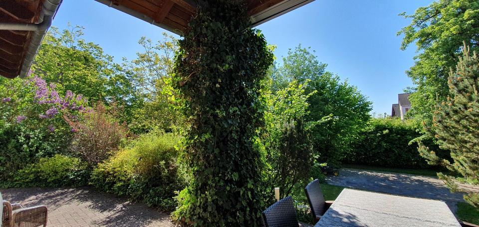 Traumhaus im Grünen - Ihr neues Zuhause voller Flair, inclusive Einbauküche und PV-Anlage – Bild 8