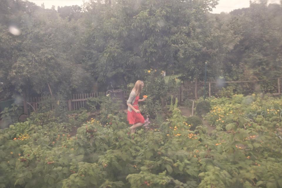 Charmantes Landhaus mit großem Garten – Ruhe &Natur nahe Hannover – Bild 8