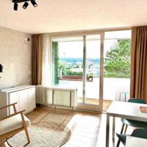 Möbliertes Pendler Apartment mit Balkon und neuer Küche