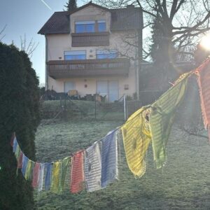 Einfamilienhaushaus in Waldrandlange mit großem Grundstück