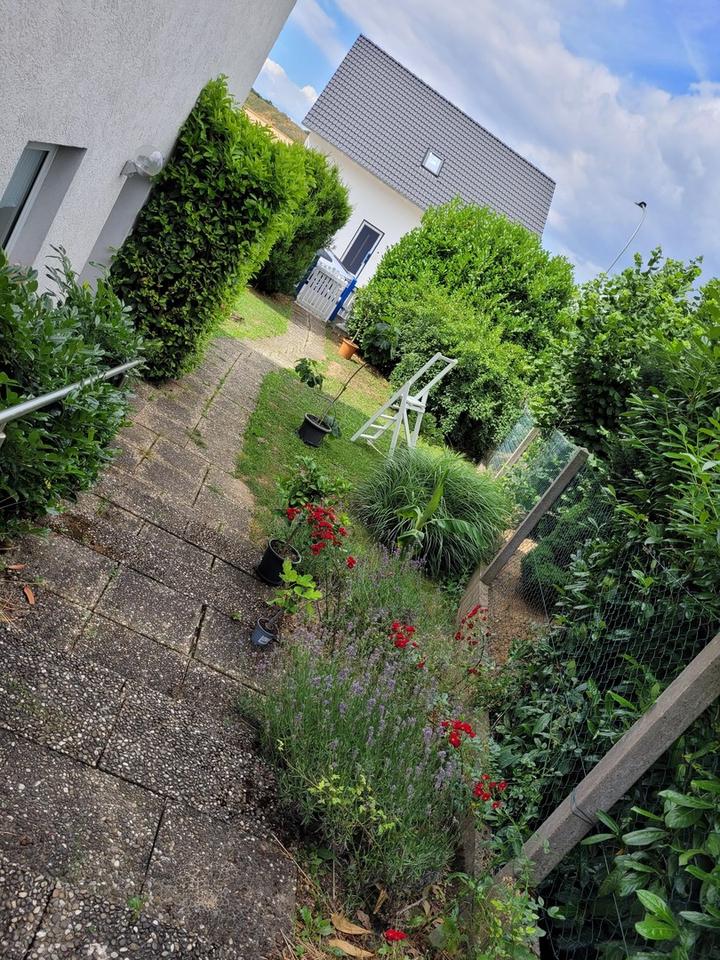 Provisionsfrei! Freistehendes Haus + Einliegerwohnung 865m Garten +Garage,Keller – Bild 22