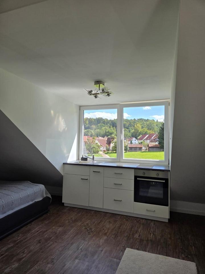 1-Zimmer Wohnung im Grünen