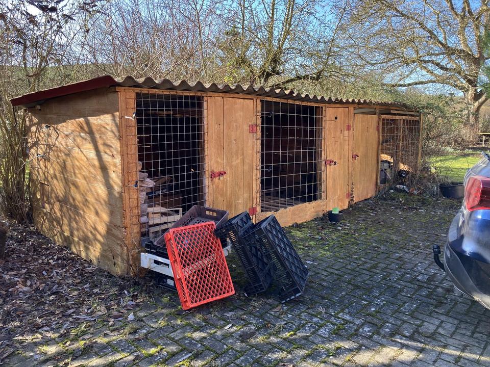 Liebevoller Hof mit Weideland nahe Kassel auf 27000qm – Bild 7