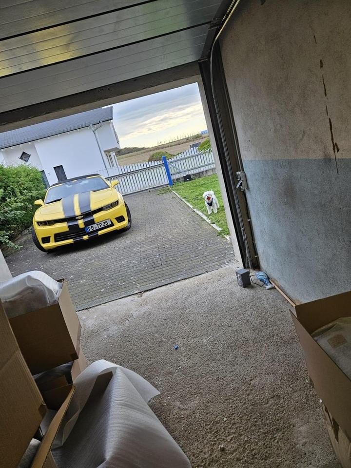 Provisionsfrei! Freistehendes Haus + Einliegerwohnung 865m Garten +Garage,Keller – Bild 27