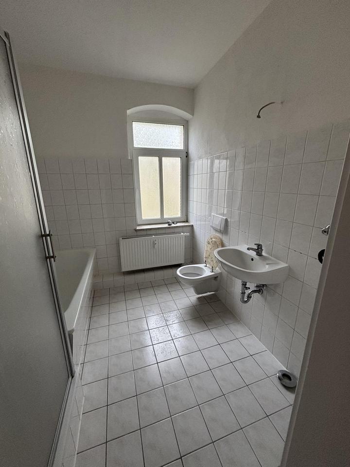 Cash-Cow bei Dresden – Bild 8