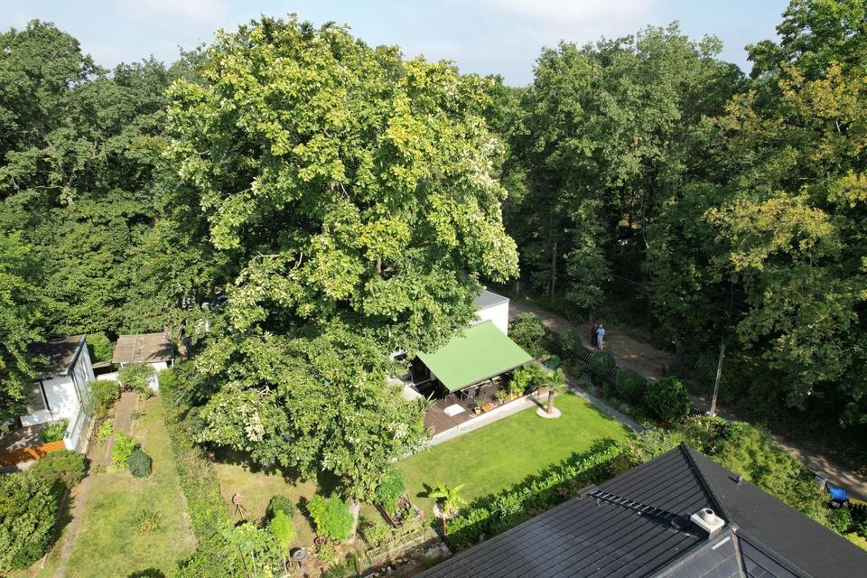 Herrlich gelegenes Einfamilienhaus im Grünen – Bild 6