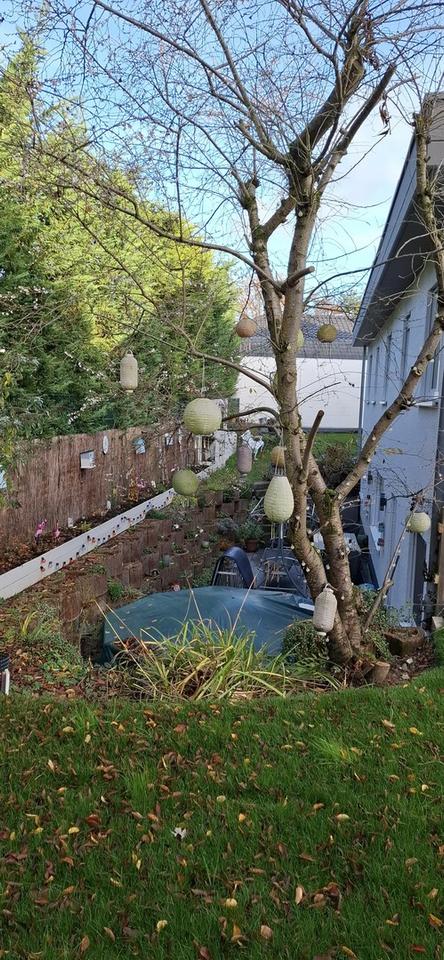 Nähe Bonn- Dreifamilienhaus zu verkaufen. PROVISIONSFREI ! – Bild 23